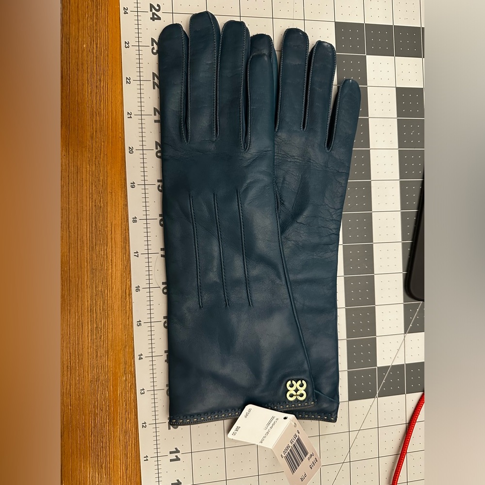 Coach Gloves